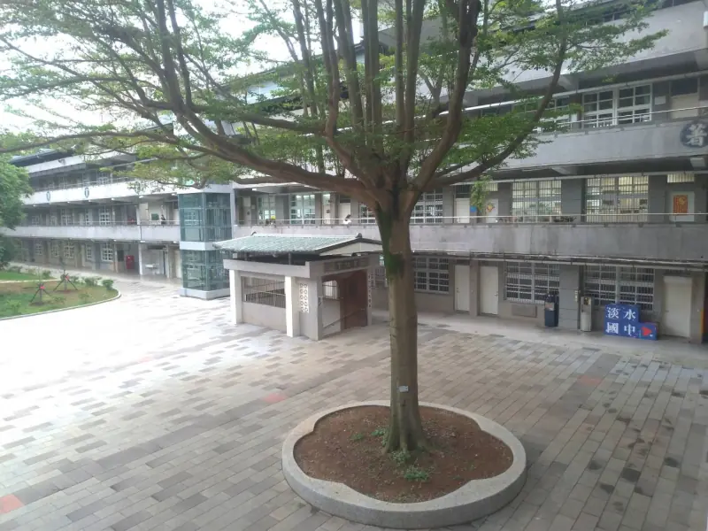 信義樓前小葉欖仁及和平樓前五育地下道