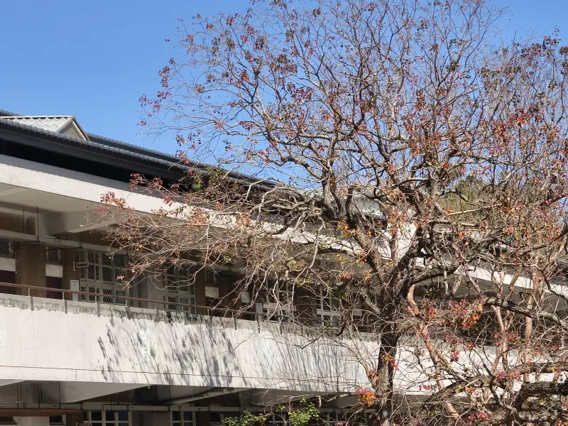 忠孝樓及樓前烏臼