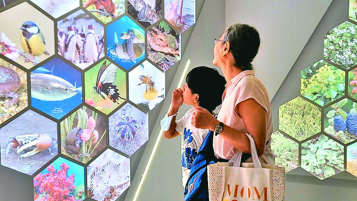 臺博館南門分館正展出的「未來戰士—永續地球環境特展」,運用科技互動遊戲及多元展示,引領觀眾按提示完成拯救地球環境的任務。圖/臺博館提供圖片