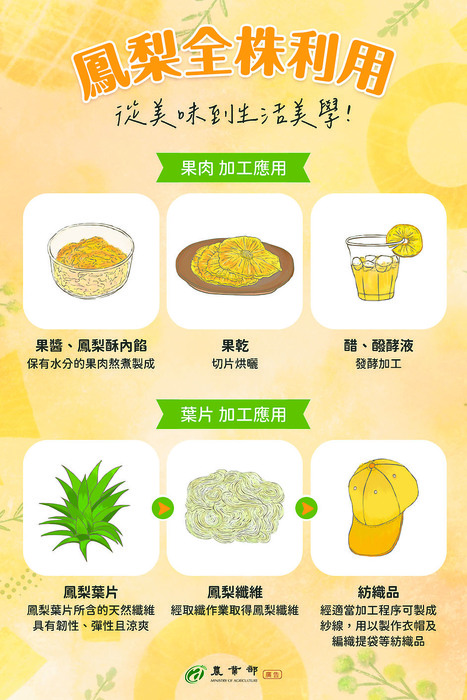 農業部表示,鳳梨從果肉到葉片都有價值。圖/臉書
